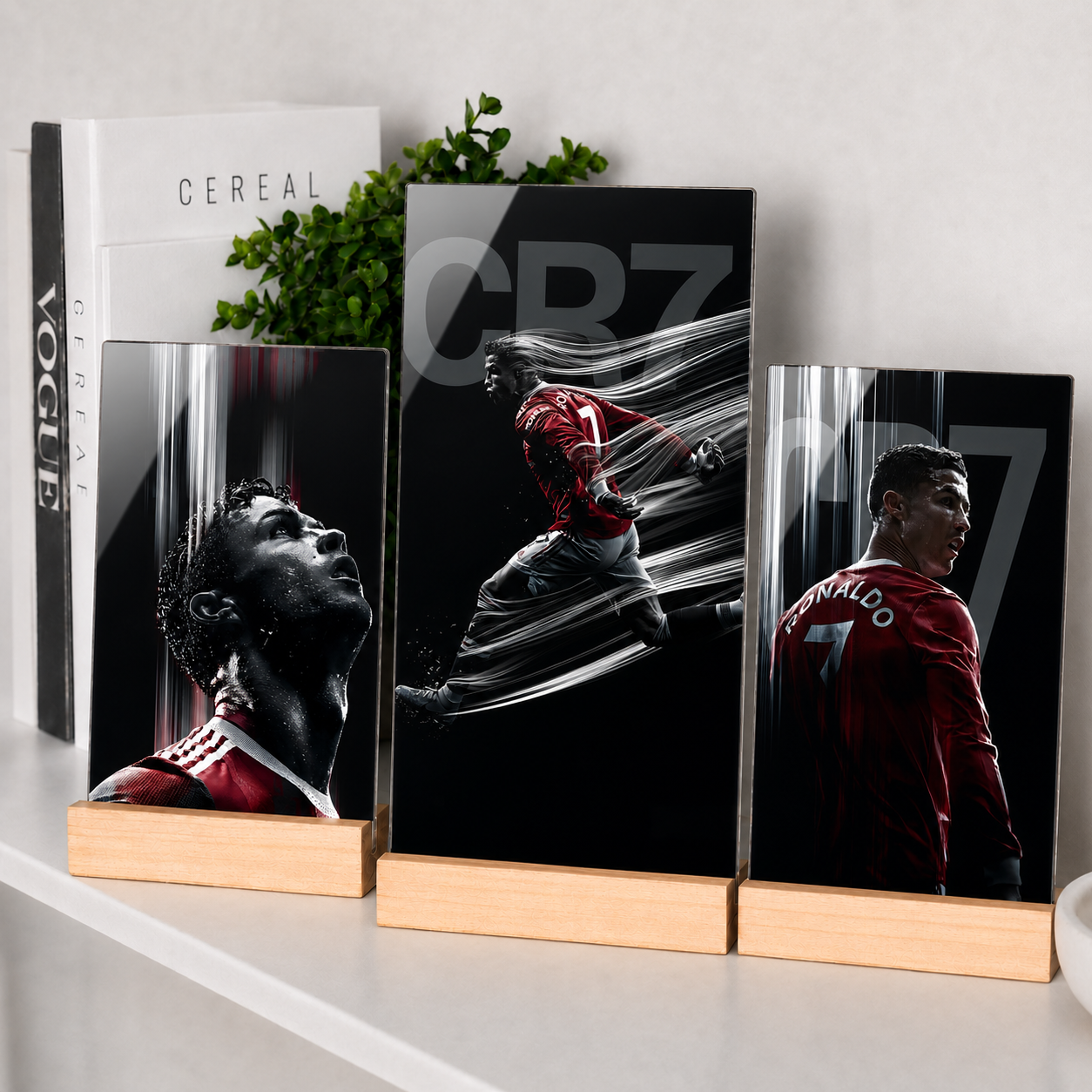 3lü Pleksi Fotoğraf Albümü - Türkiye'de Tek!
